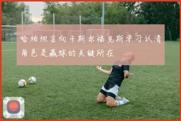 哈珀坦言向卡斯尔福克斯学习认清角色是赢球的关键所在