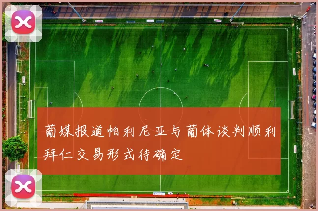 葡媒报道帕利尼亚与葡体谈判顺利拜仁交易形式待确定